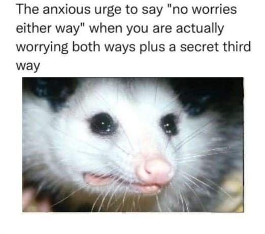 20 Quality Memes That Promise a Time Well Spent 9 The anxious urge - Quality Memes