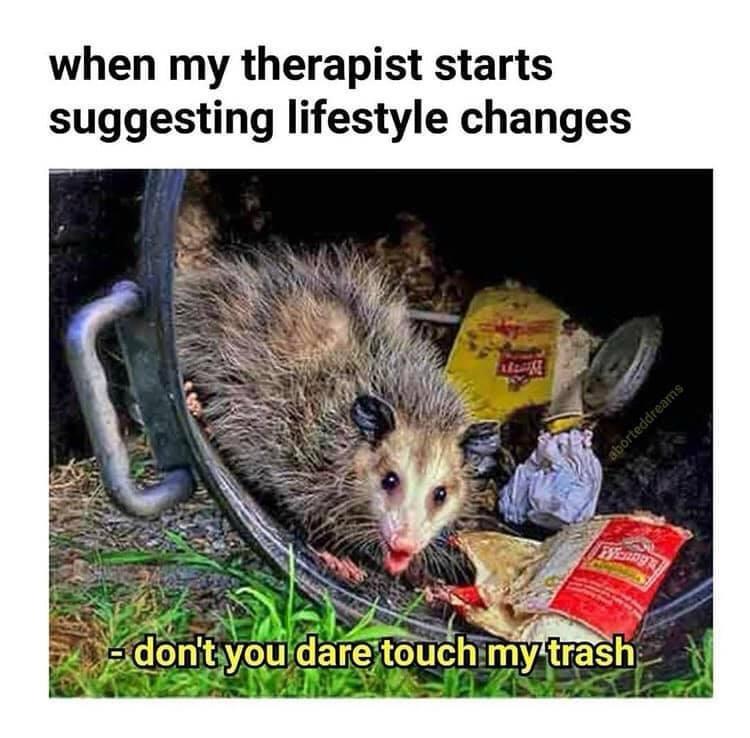 20 Funny Animal Memes That Are More Entertaining Than a Night at the Zoo 18 Therapist suggest lifestyle changes - Funny Animal Memes