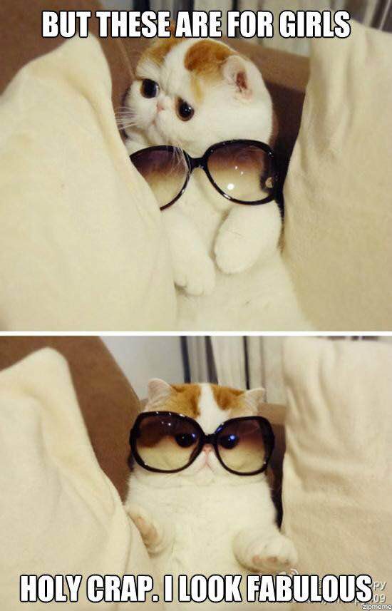 20 Amusing Cat Memes That Will Cat-apult You into Laughter 15 These are for girls