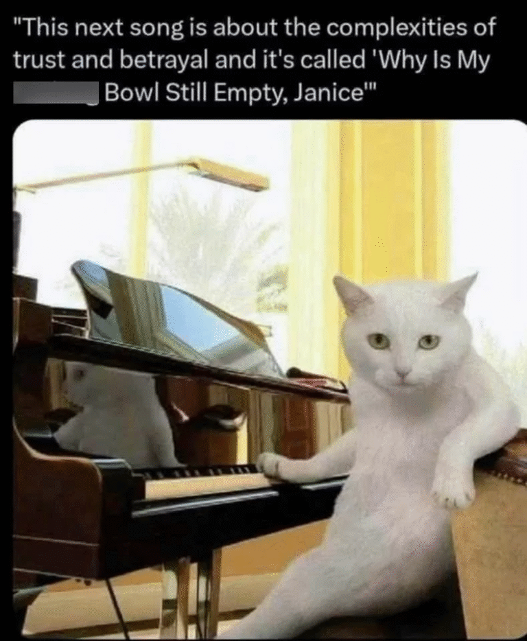 40 Music Memes That'll Replay in Your Mind On Repeat - Funny