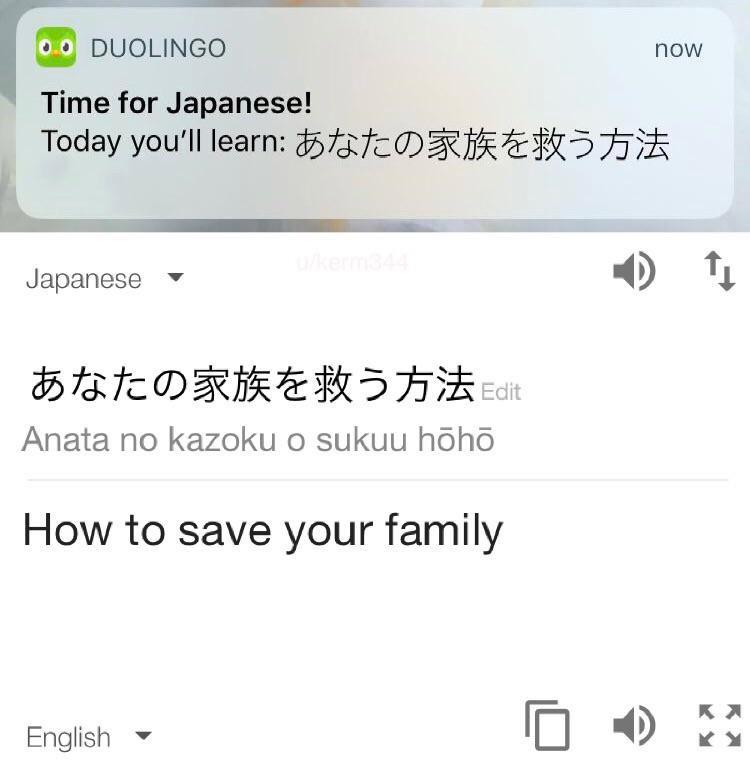 25 Duolingo Owl Memes That Will Keep You Up At Night 25 Today youll learn