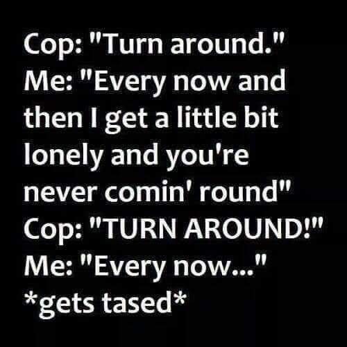 30 Music Memes That'll Replay in Your Mind On Repeat 25 Turn around