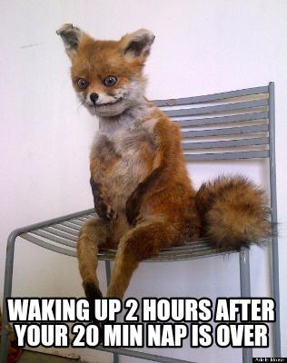 20 Funny Sleep Memes Every Night Owl Can Relate To 14 Waking up