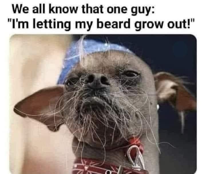 20 Adorable Dog Memes for a Pawsitively Good Time 21 We all knwo that one guy - adorable dog memes