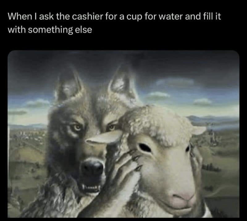 35 Random Memes To Start Your Day On A Laughter Note 29 When I ask cashier