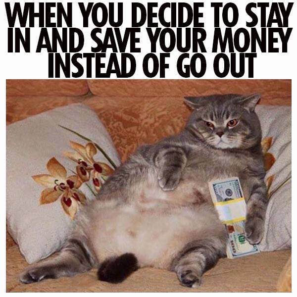 20 Amusing Cat Memes That Will Cat-apult You into Laughter 18 When you decide to stay in