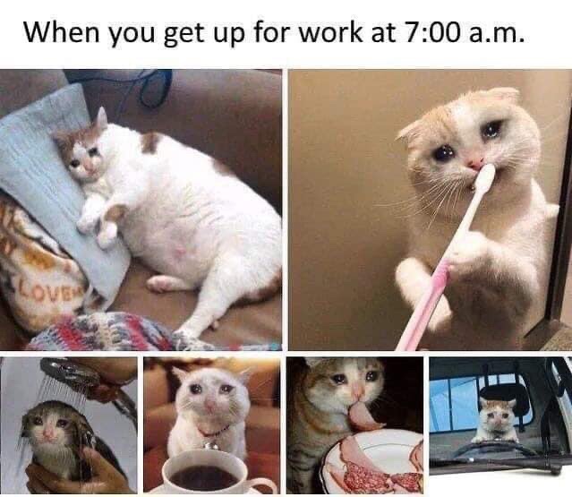 20 Memes That Will Make You Smile If You're Having A Bad Day 20 When you get up