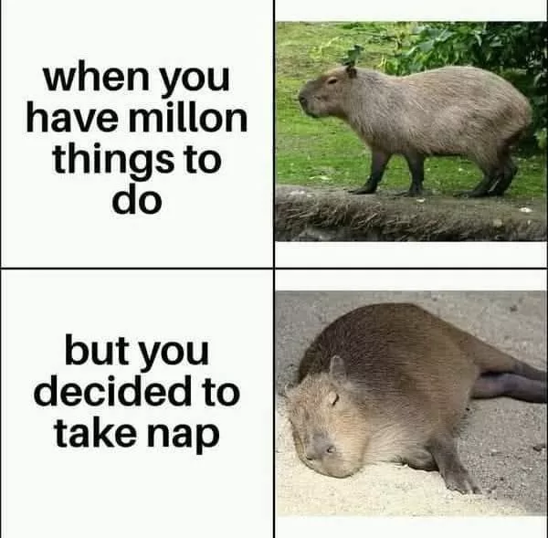 When you have million things to 