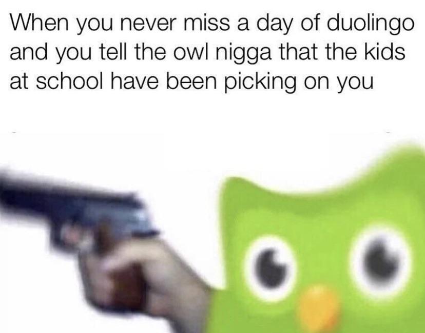 25 Duolingo Owl Memes That Will Keep You Up At Night 26 When you never miss a day