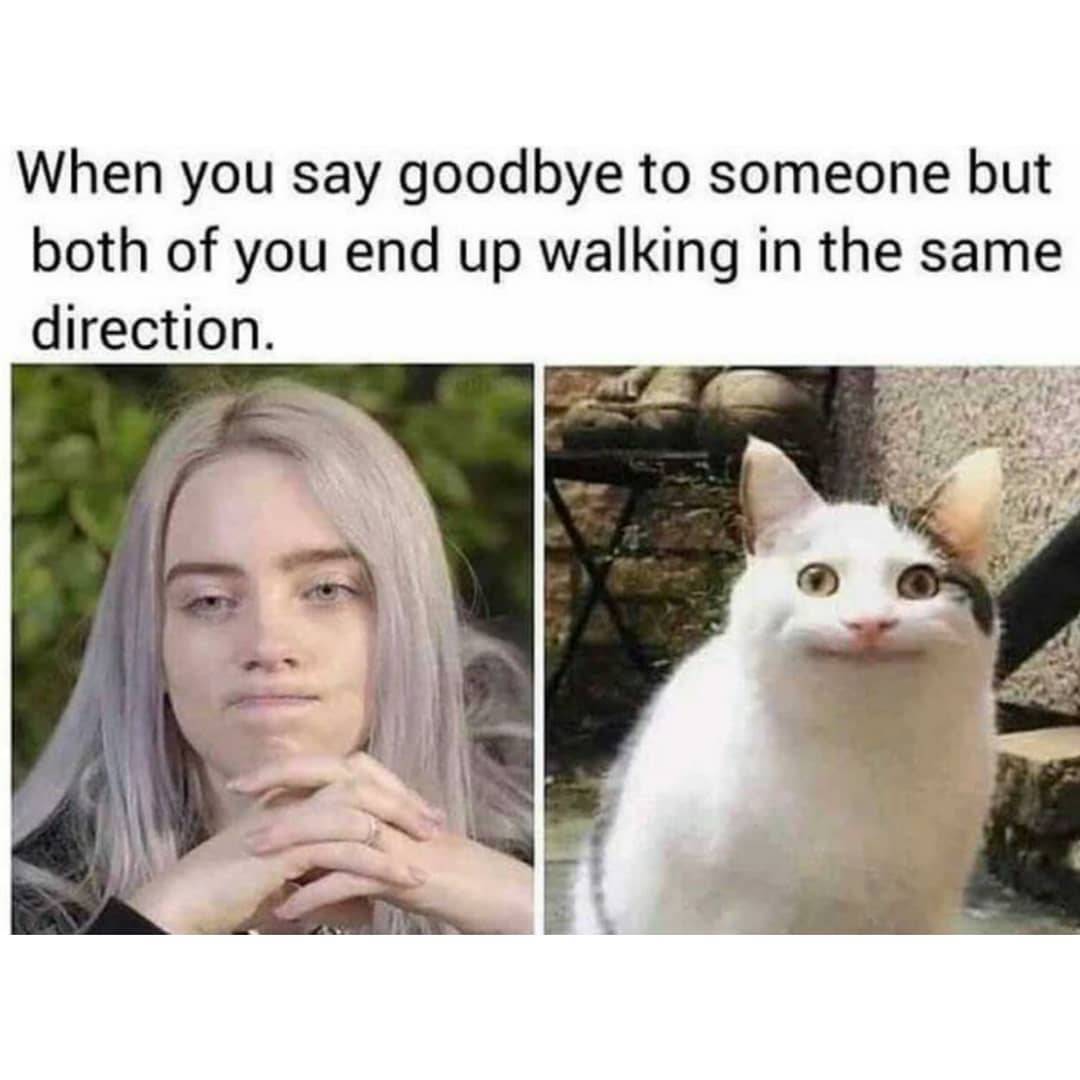 30 Memes That Will Make You Forget About Monday Blues 20 When you say good bye - Monday blues