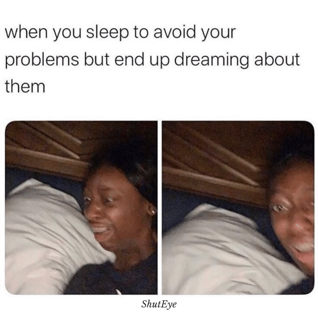 20 Funny Sleep Memes Every Night Owl Can Relate To 17 When you sleep