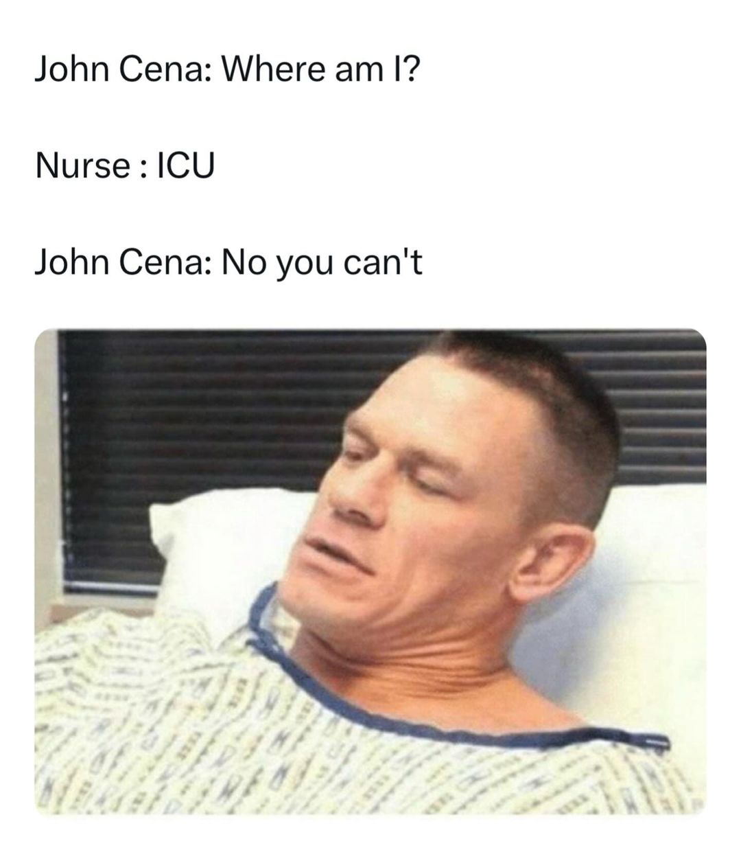 35 Punniest Memes: Your Daily Dose of Vitamin C (Comedy) 29 Where am I - punniest memes