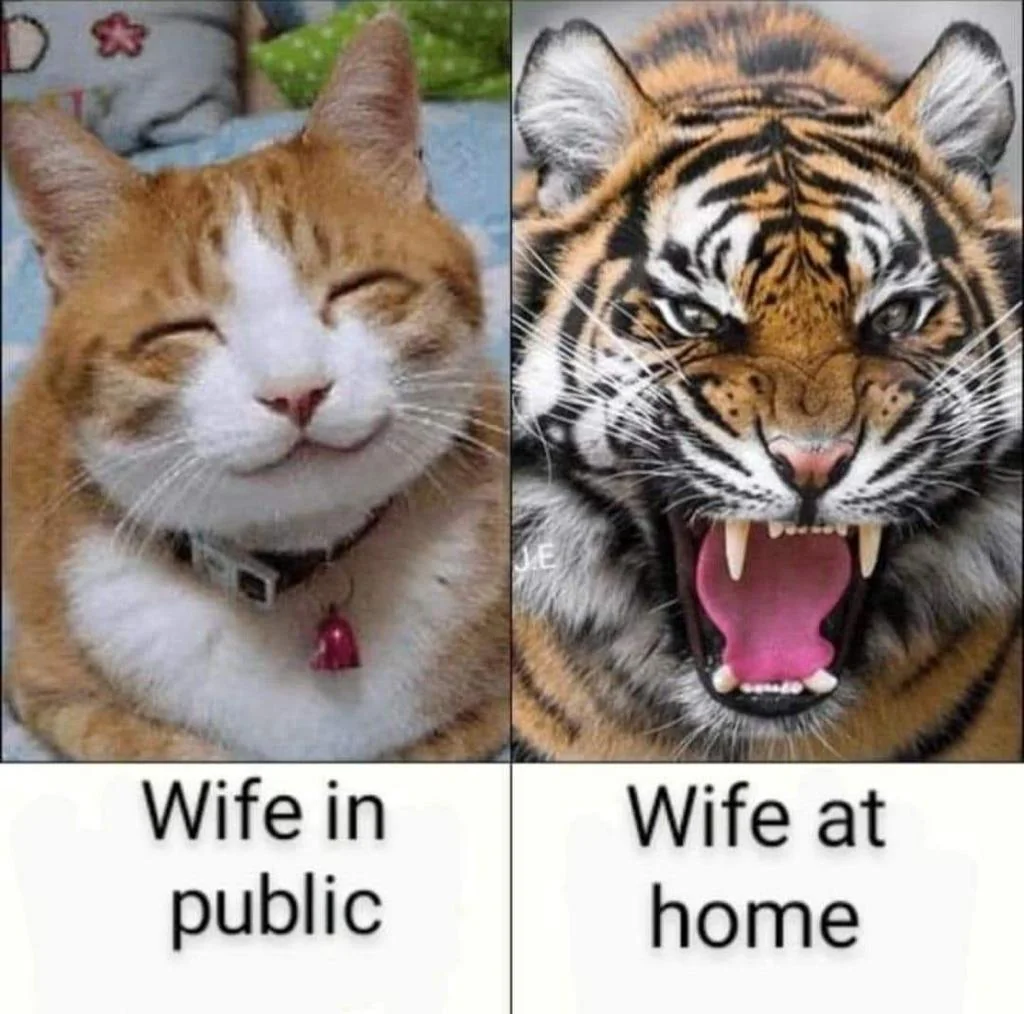 40 Married Memes That Unveils The Secrets Of Married Life 40 Wife in public