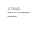 Wittiest Dad Jokes - FG