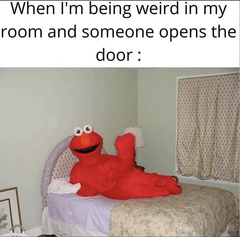 20 Quality Memes That Promise a Time Well Spent 20 Wreird in my room