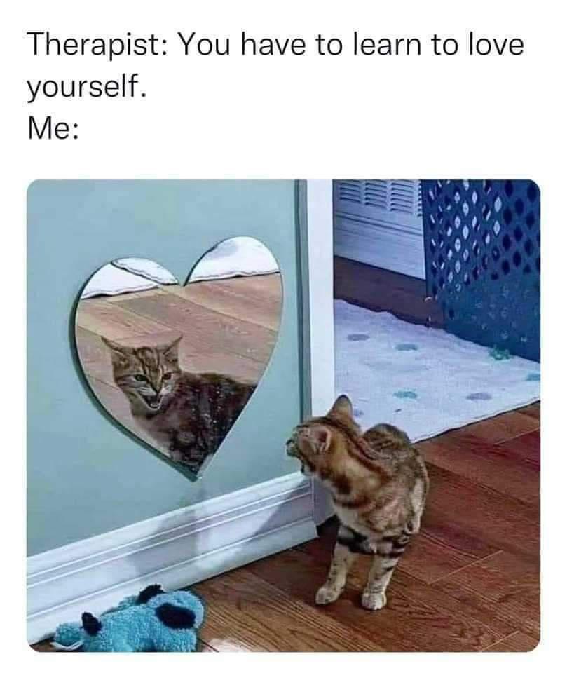 20 Quality Memes That Promise a Time Well Spent 14 You have to learn to love yourself - Quality Memes
