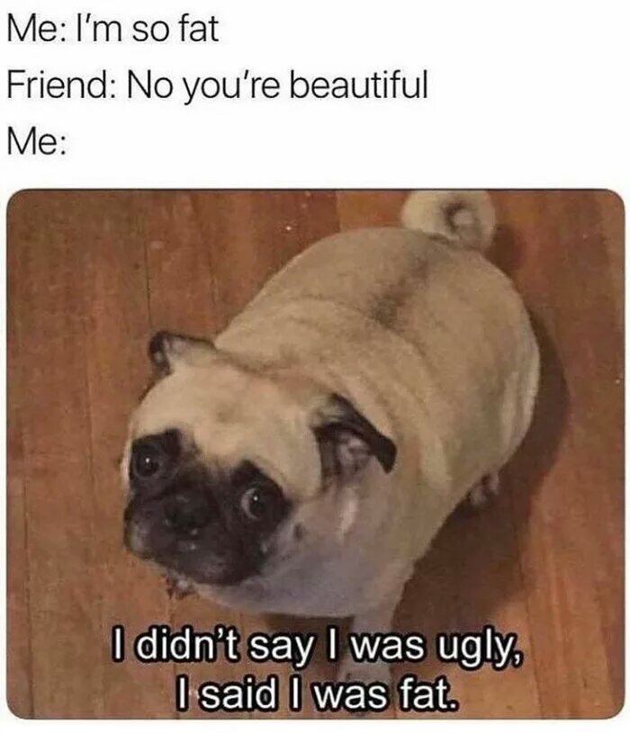 20 Memes for Silent Scrolling with an Unpredictable Blend of Laughter 20 Youre beautiful