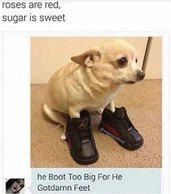 bid shoe to big for he - Poetry Memes