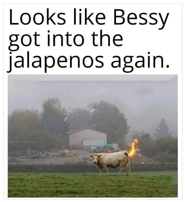 jalapenos again