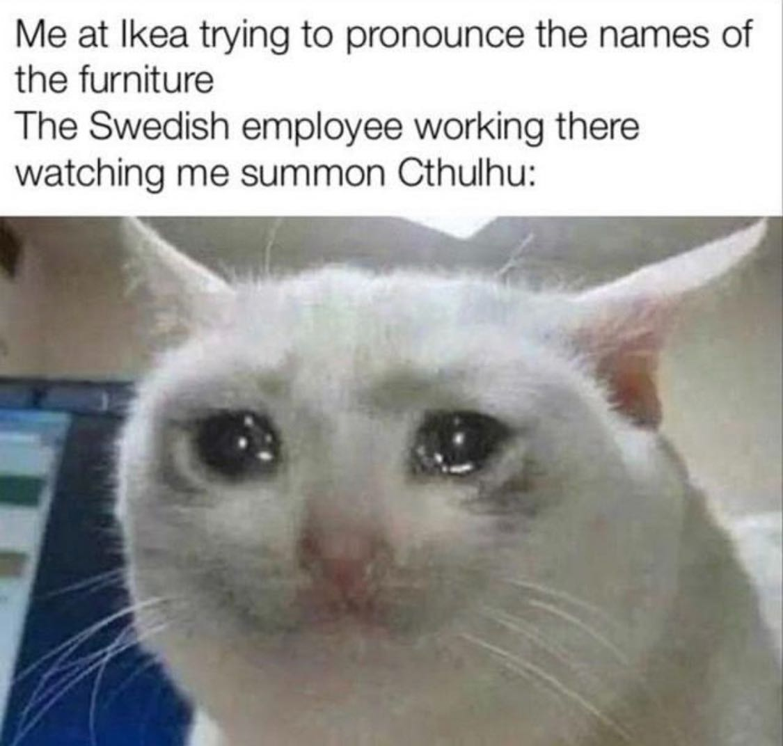 35 Funny Cat Memes That Will Brighten Your Day 31 me at ikea