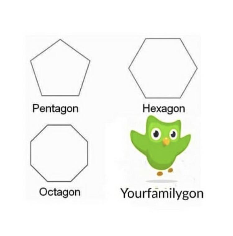 25 Duolingo Owl Memes That Will Keep You Up At Night 24 pentagon