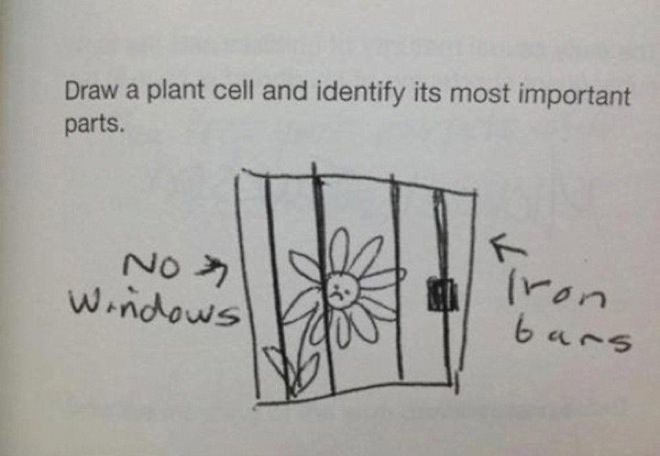 35 Funny Test Answers That Deserve An A+ For Humor 28 plant cell- funny test answers