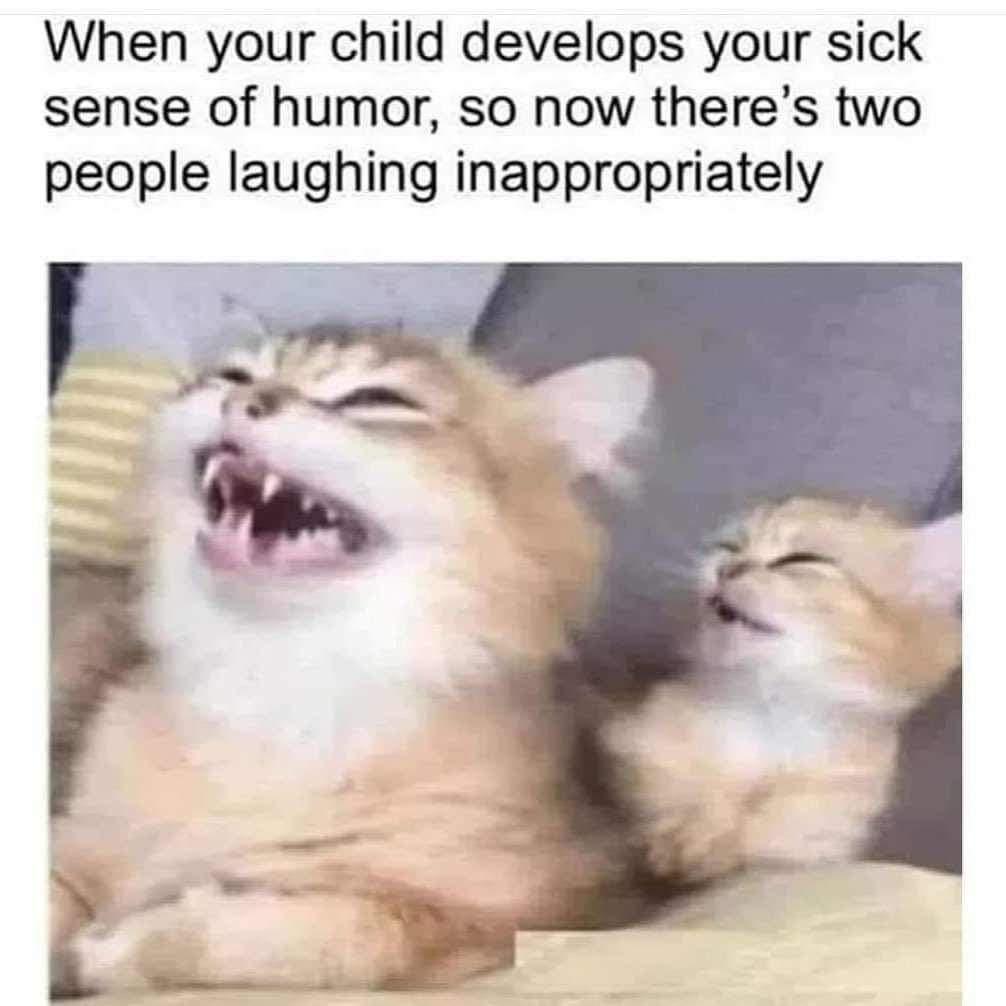 20 Cute Cat Memes That Will Make You Say 'Aww 13 sick sense of humor - Cute Cat Memes