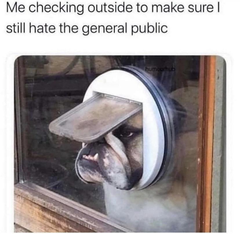 20 Adorable Dog Memes for a Pawsitively Good Time 18 still hate general public - adorable dog memes