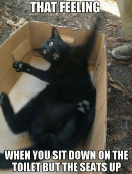 25 Amusing Memes to Crown Your Day with Laughter 15 that feeling - amusing memes