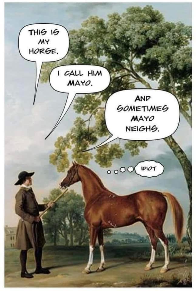 20 Funny Animal Memes That Are More Entertaining Than a Night at the Zoo 19 this is my horse - Funny Animal Memes