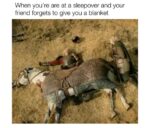 26 Funny Instances When Your Friend Forgets to Give You a Blanket - FG