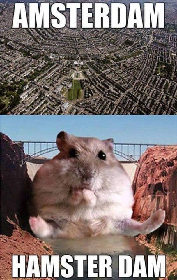 35 Funny Random Memes - A Random Dose Of Happiness 25 Amster dam