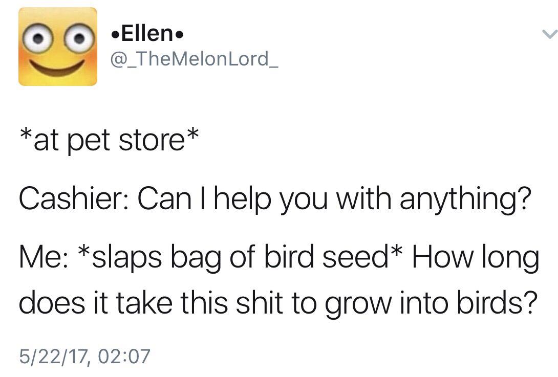25 Funny Texts That Went from Normal to Nonsense 4 At pet store - funny texts