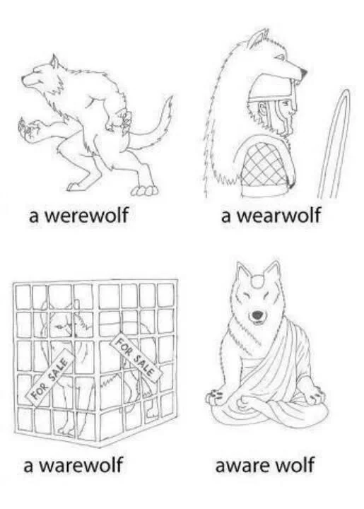 35 Puns That Are Even Fun-er Than A Good Burrito 26 Aware wolf