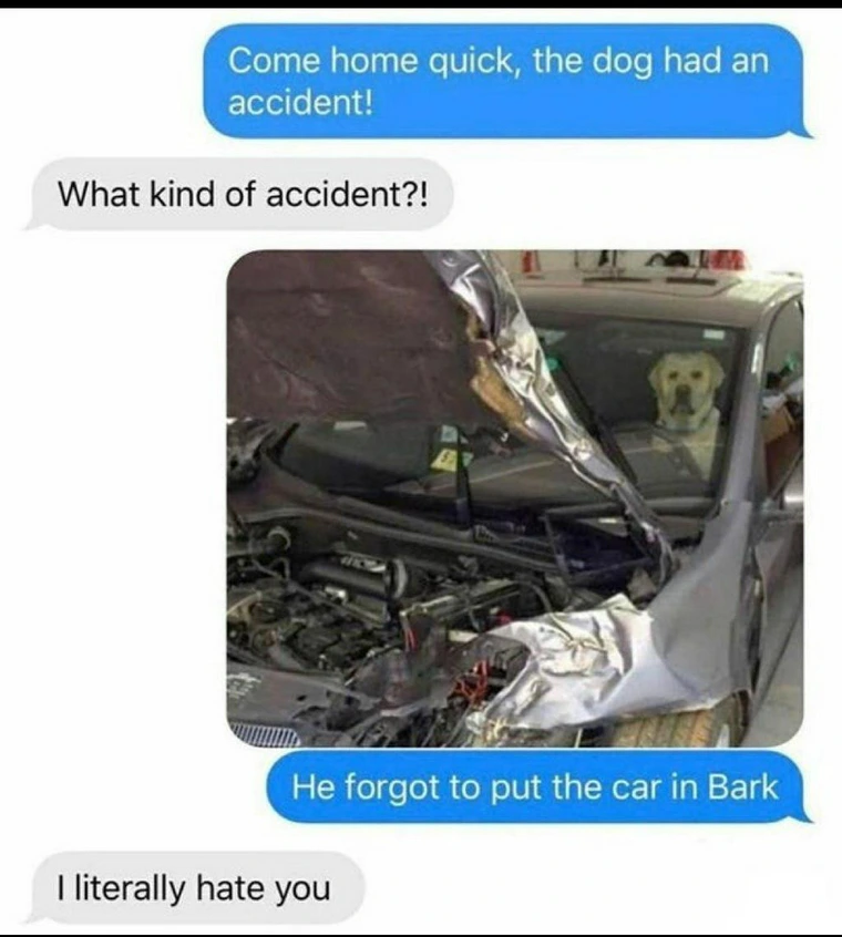 25 Funny Texts That Went from Normal to Nonsense 21 Come quick