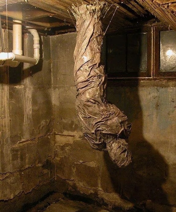 30 Cursed Pics to Infuse Your Day with Weird Vibes, As Shared On This IG Page 4 Cursed Basement - cursed pics