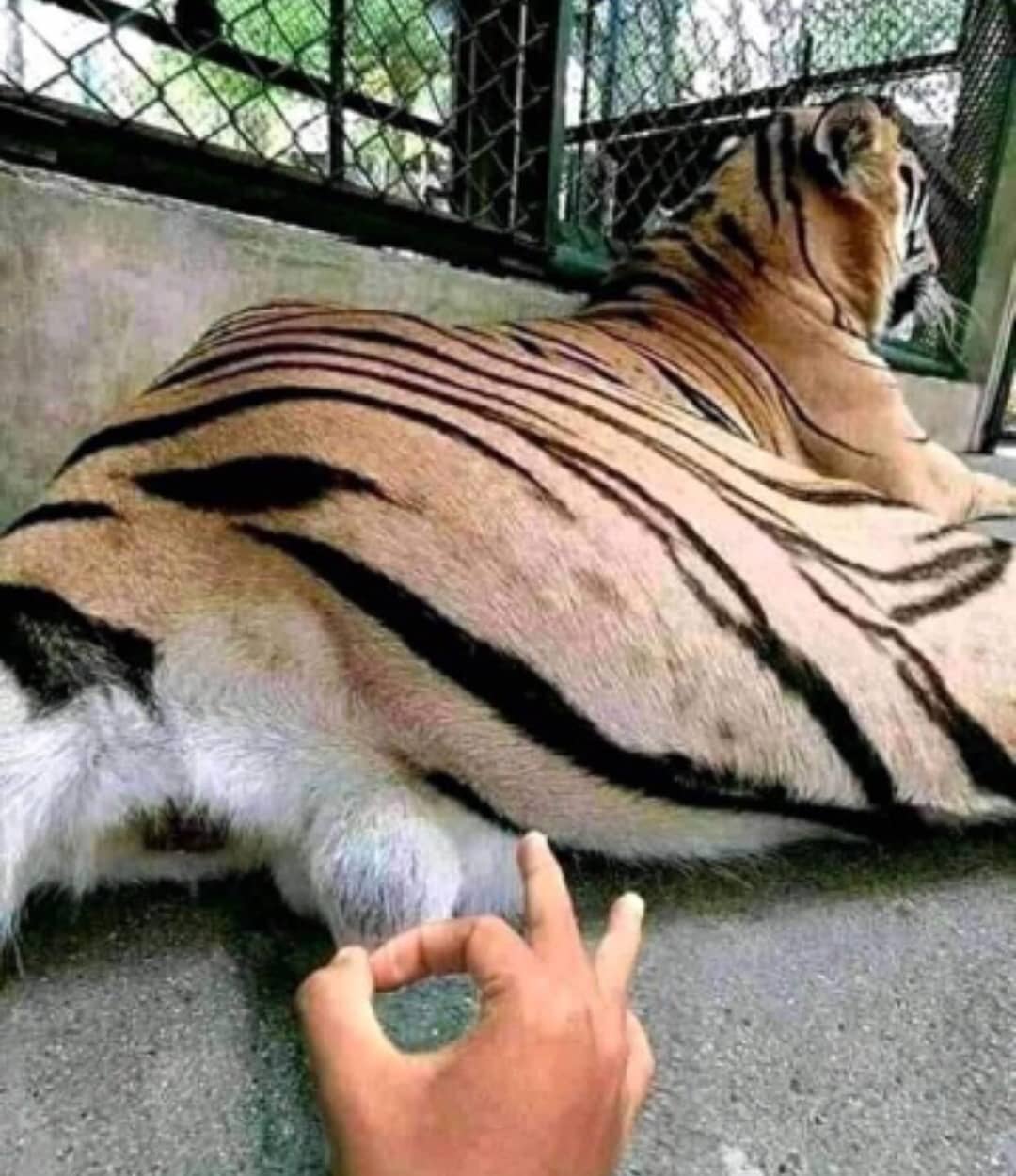 30 Cursed Pics to Infuse Your Day with Weird Vibes, As Shared On This IG Page 7 Cursed flick - cursed pics