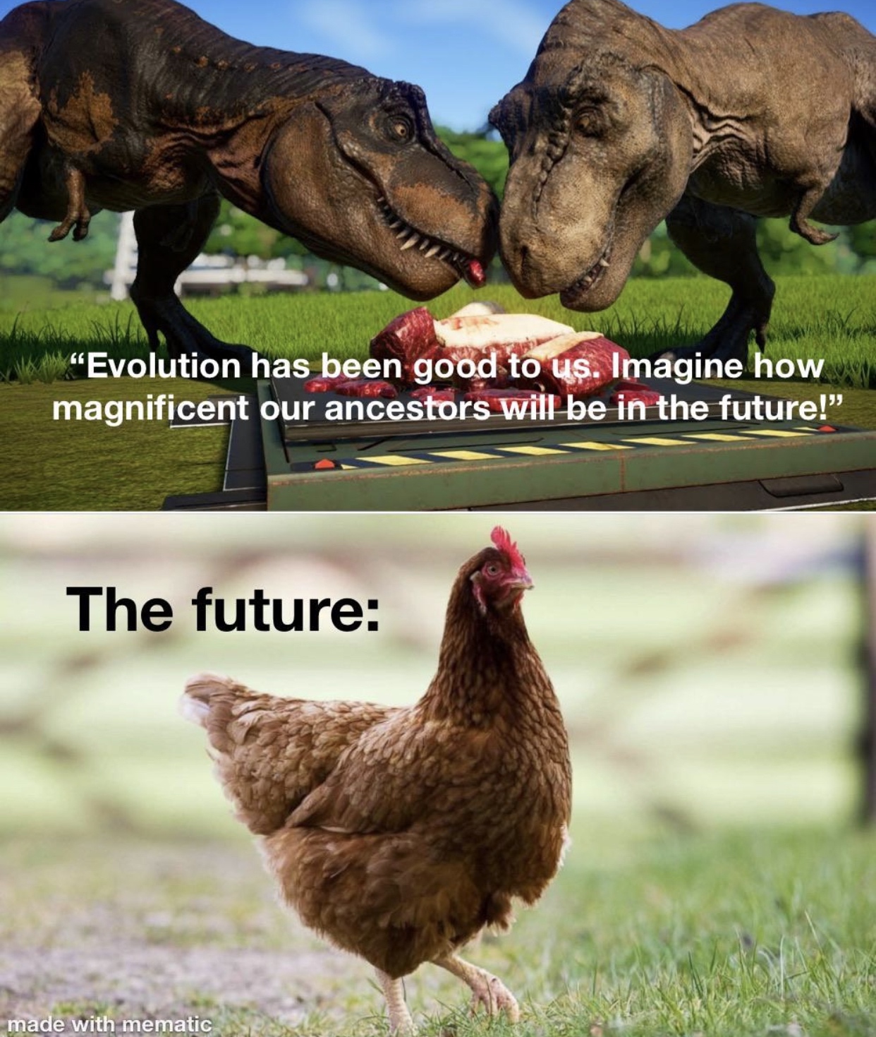 20 Hilarious Memes for Adults Unwinding on Saturdays and Sundays 17 Evolution has been good