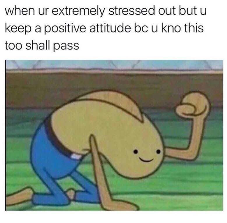 25 Memes for a Wholly Unexpected Experience 21 Extremly stressed