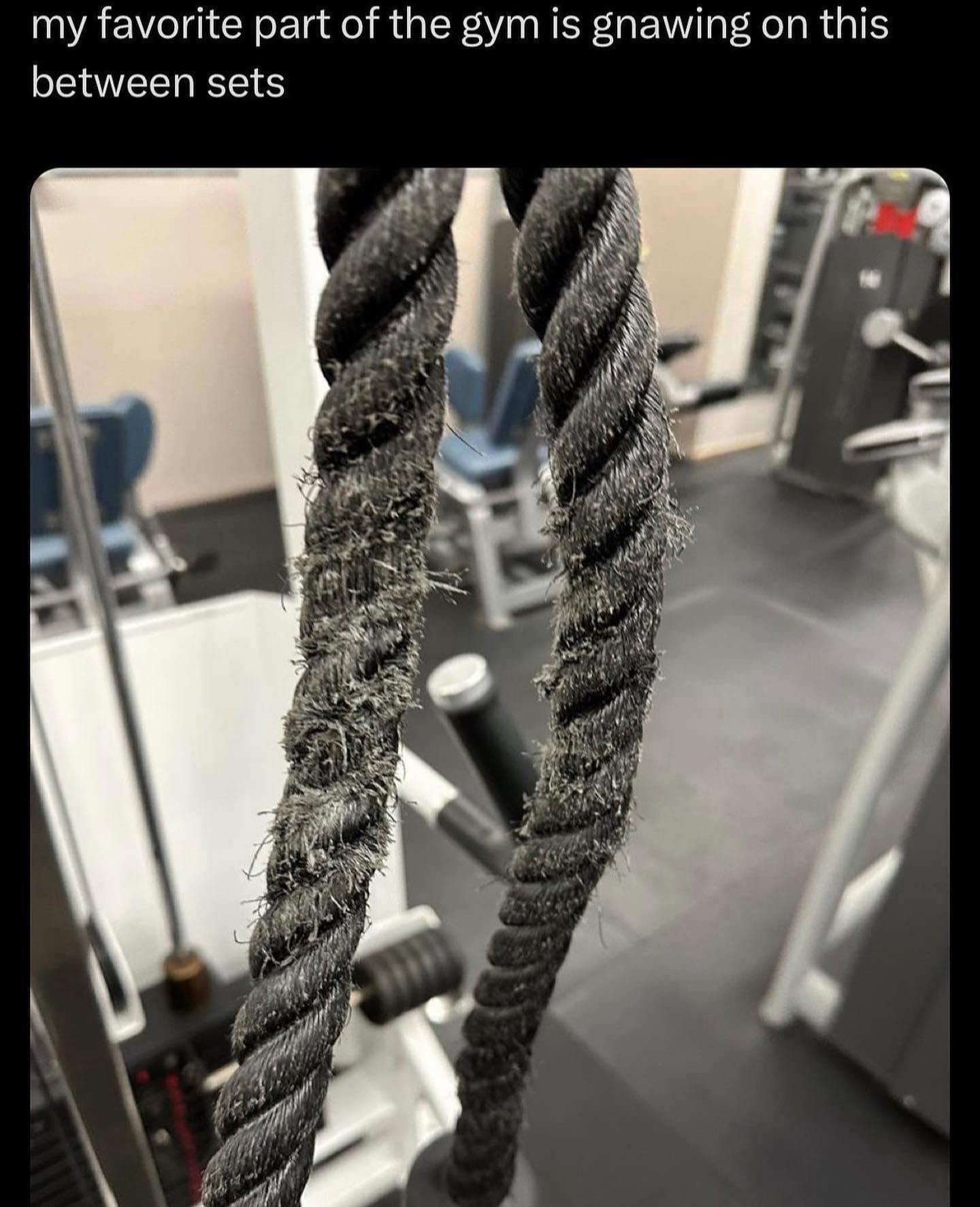 20 Memes to Bring Joy to Your Monday Morning 16 Favorite part of gym