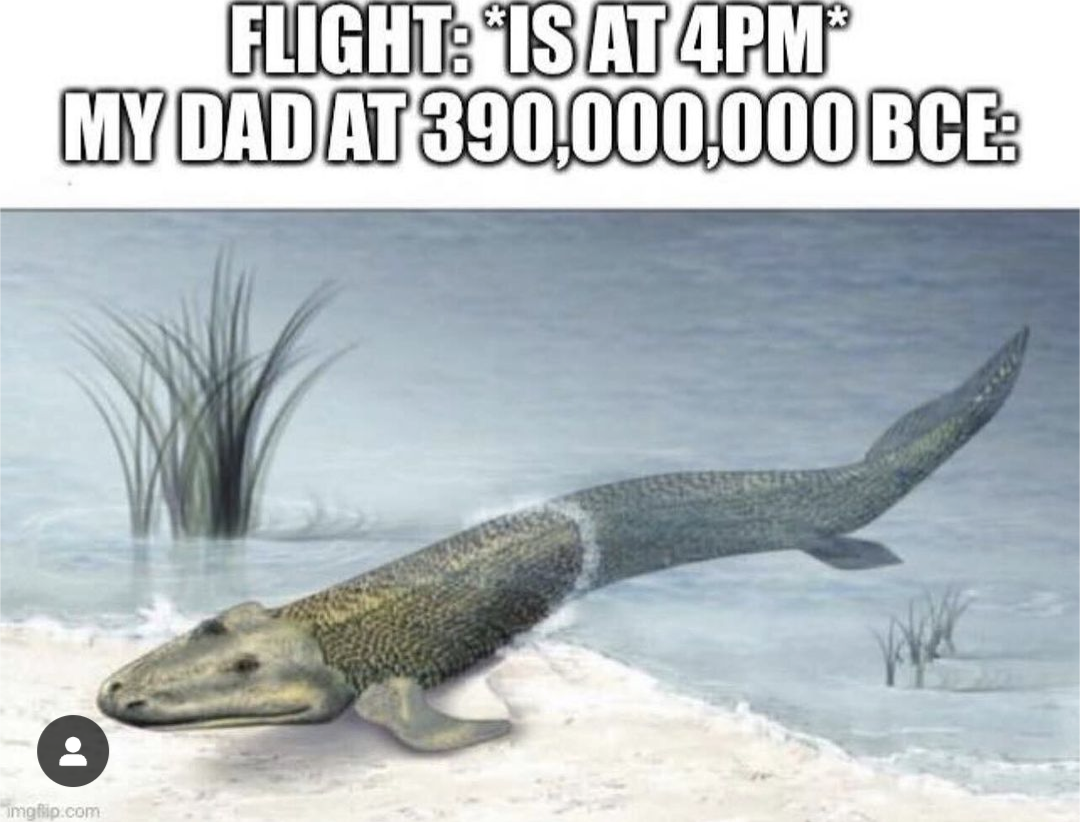 20 Memes: Your Daily Dose of Randomness & Ridiculousness 17 Flight is at 9