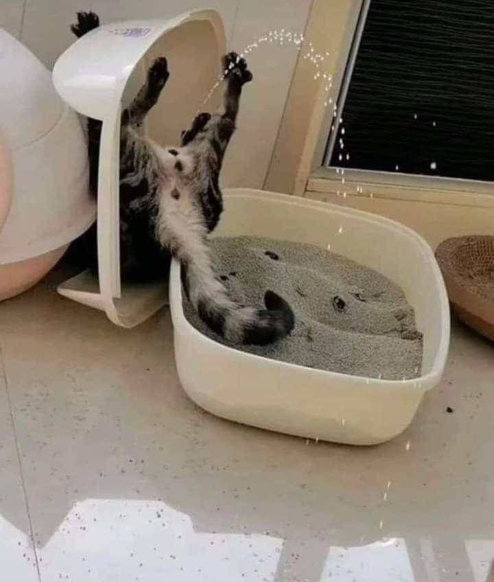 20 Unusual Animal Pics That Will Make Your Jaw Drop 11 Fountain trixk - unusual animal pics