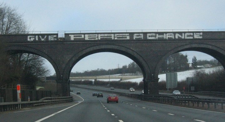 40 Pieces Of Graffiti That Prove World Is Your Canvas 27 Give peas a chance