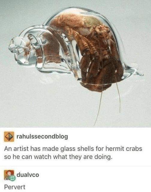 20 Memes that Expose the Comedic Side of Fashion 4 Glass shells