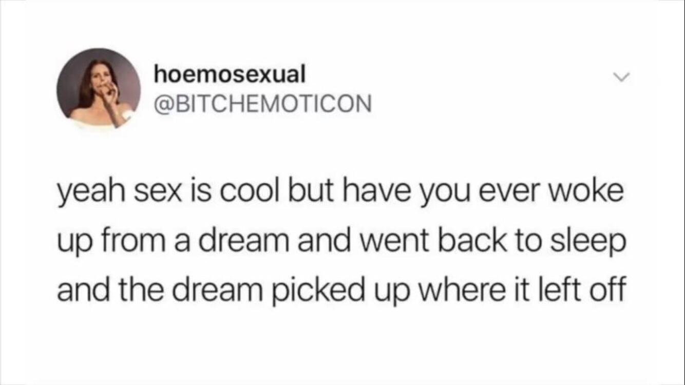 25 Funny Texts That Went from Normal to Nonsense 8 Have you ever woke up from a dream - funny texts