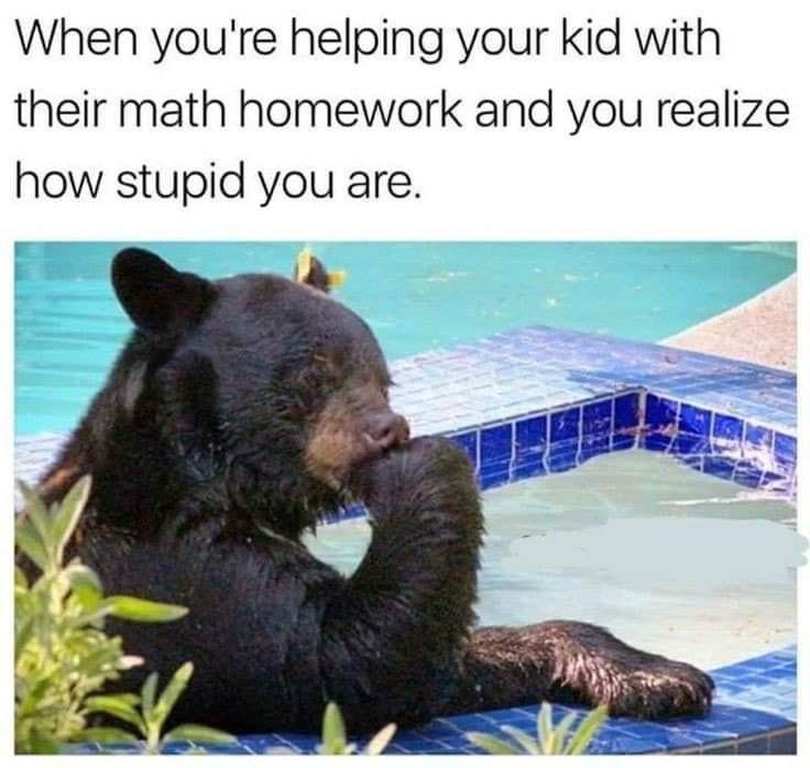 20 Bear Memes That Are Unbearably Hilarious and Adorable 8 Helping your kid with maths - bear memes