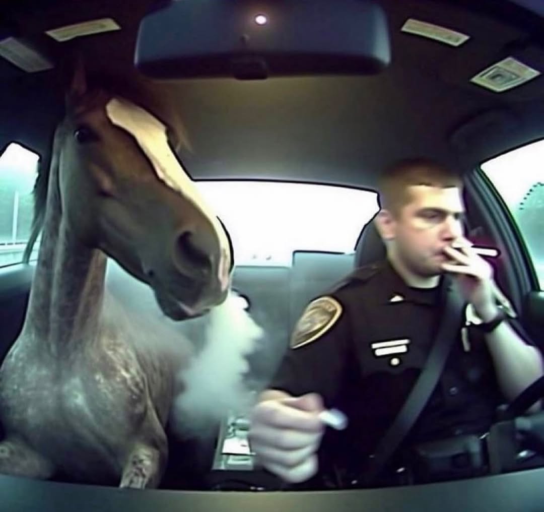 30 Cursed Pics to Infuse Your Day with Weird Vibes, As Shared On This IG Page 29 Horse smoking