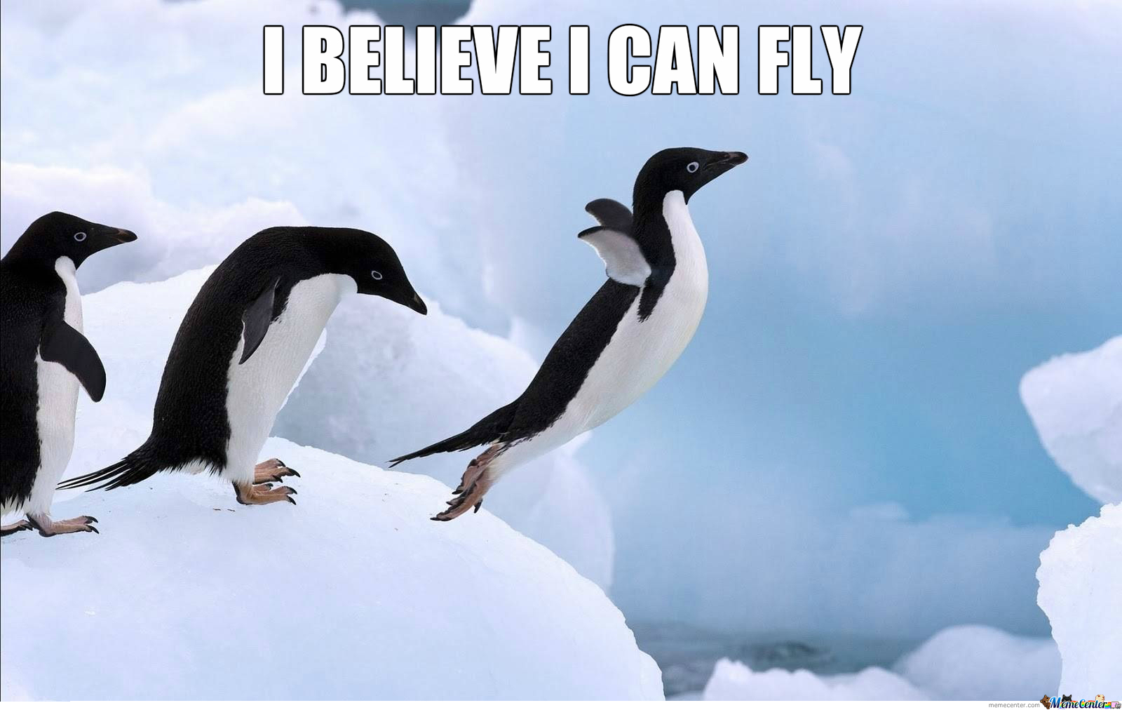 24 Penguin Memes to Dive into a Sea of Hilarity on International Penguin Day 5 I believe I can fly