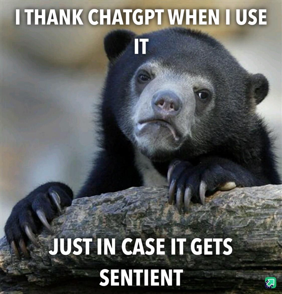 15 ChatGPT Memes That Show People Messing Around With AI 14 I thank chat gpt - chatgpt memes