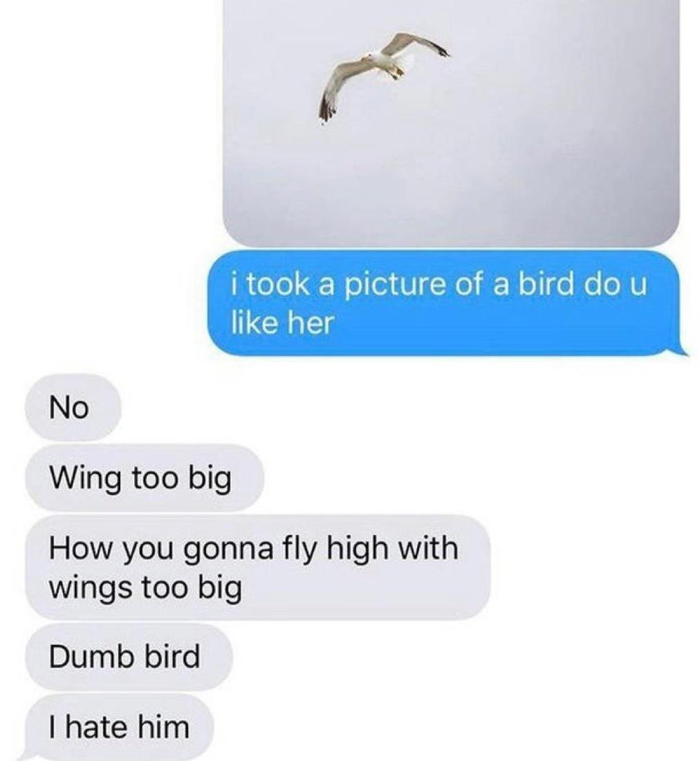 25 Funny Texts That Went from Normal to Nonsense 22 I took a picture